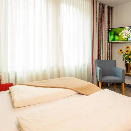 فندق Loewengarten 4*