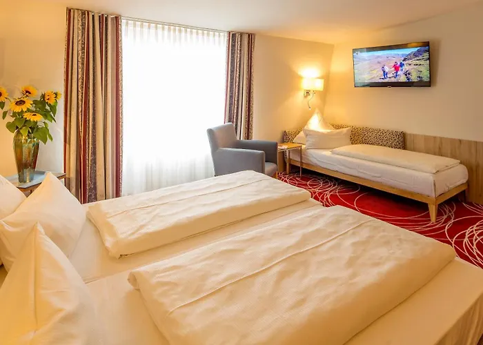 Hotel Loewengarten 4*