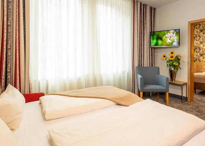 Hotel Loewengarten 4*