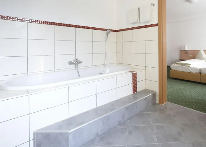 Hotel Loewengarten 4*